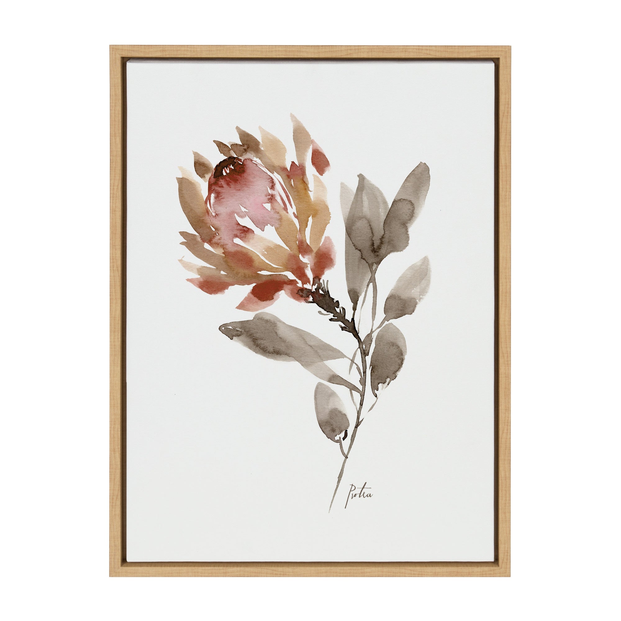 Sylvie Wild King Protea Framed Canvas by kateandlaurel - product image 11 for Resin Society