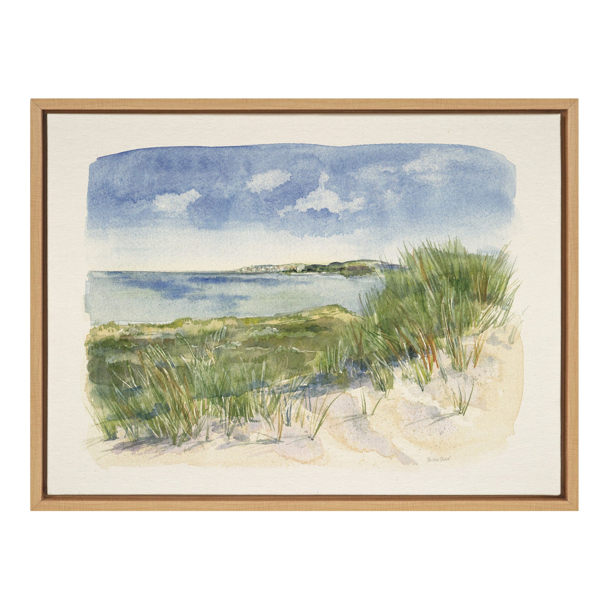 Sylvie By The Sea Framed Canvas by Patricia Shaw by kateandlaurel - product image 10 for Resin Society