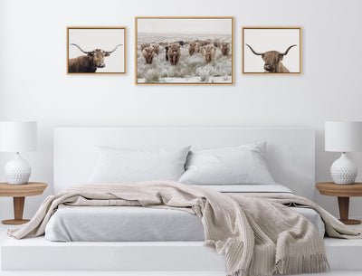 Sylvie Texas Longhorn, Highland Cow Portrait Close Color and Herd of Highland Cows Color Framed Canvas Art Set