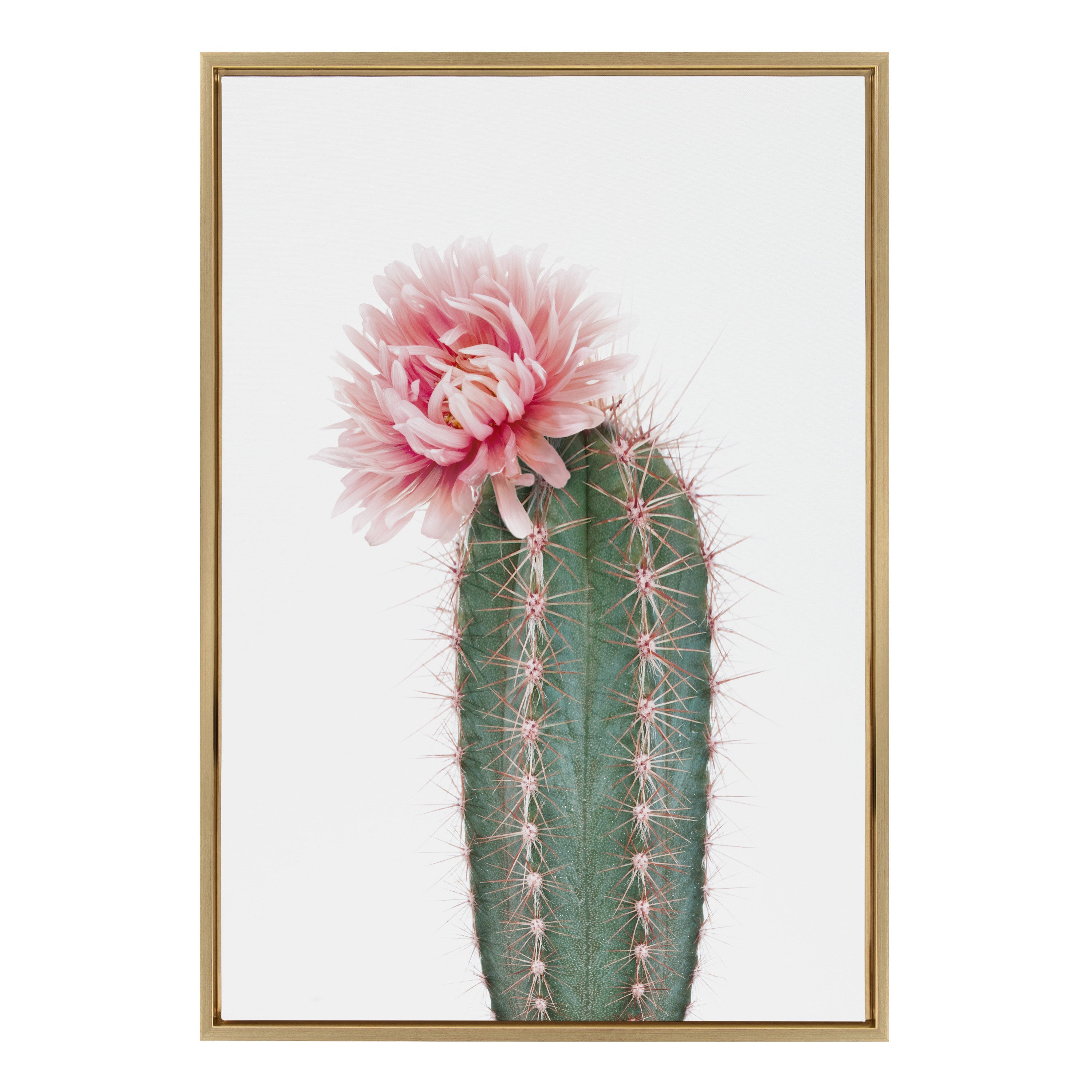 Sylvie Pink Cactus Flower Framed Canvas by Amy Peterson Art Studio