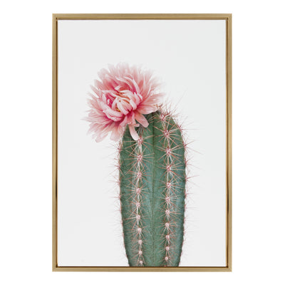 Sylvie Pink Cactus Flower Framed Canvas by Amy Peterson Art Studio