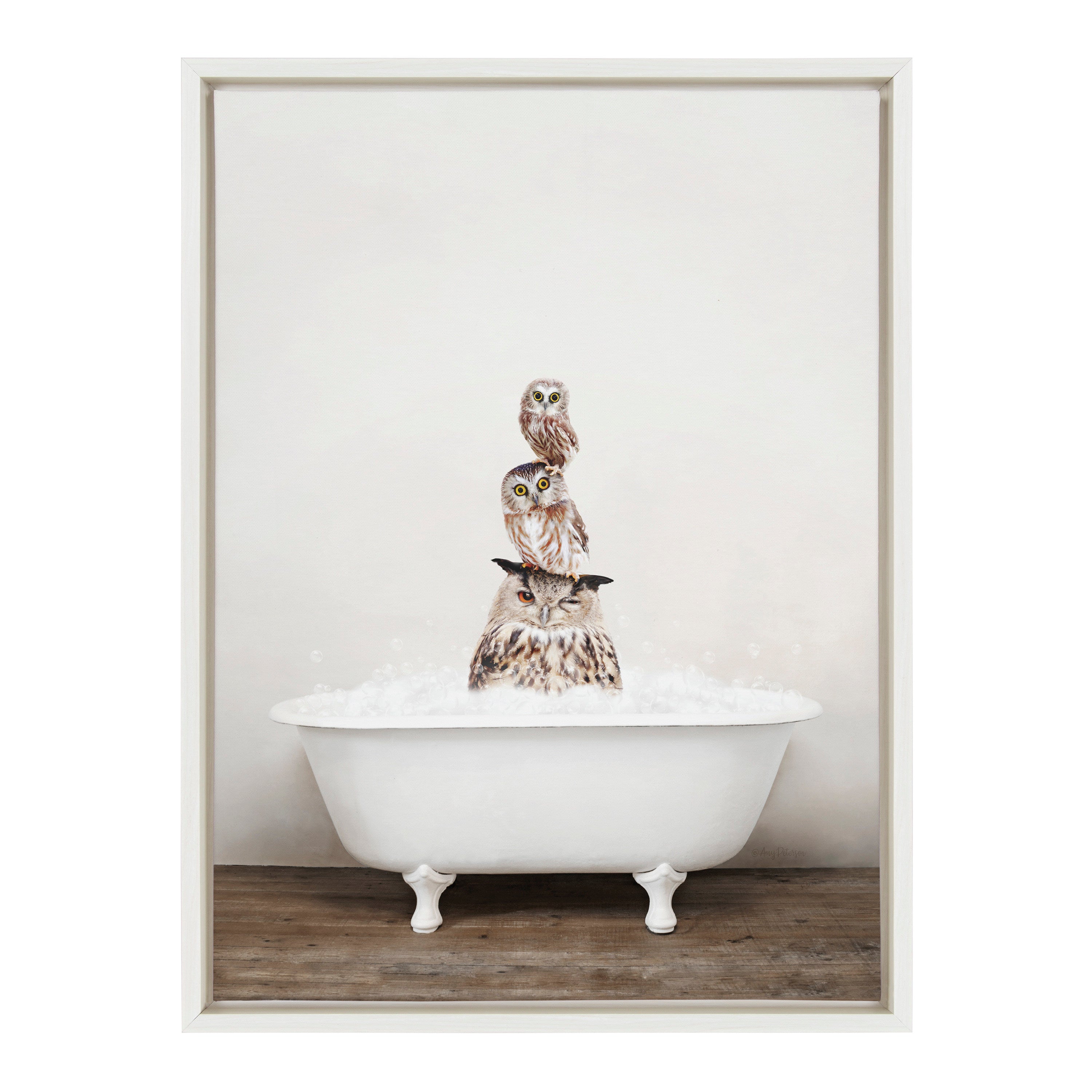 Sylvie Stacked Owls in Rustic Bath Framed Canvas by kateandlaurel - product image 2 for Resin Society