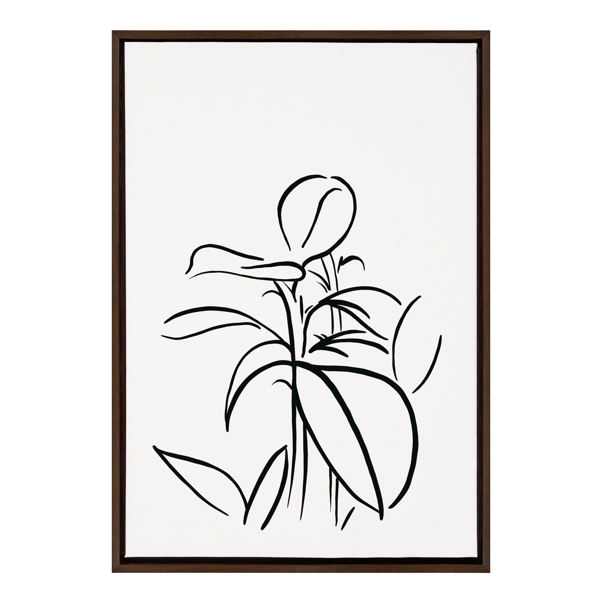 Sylvie Botanical Sketch Print No 1 Framed Canvas by The Creative Bunch by kateandlaurel - main product image for Resin Society