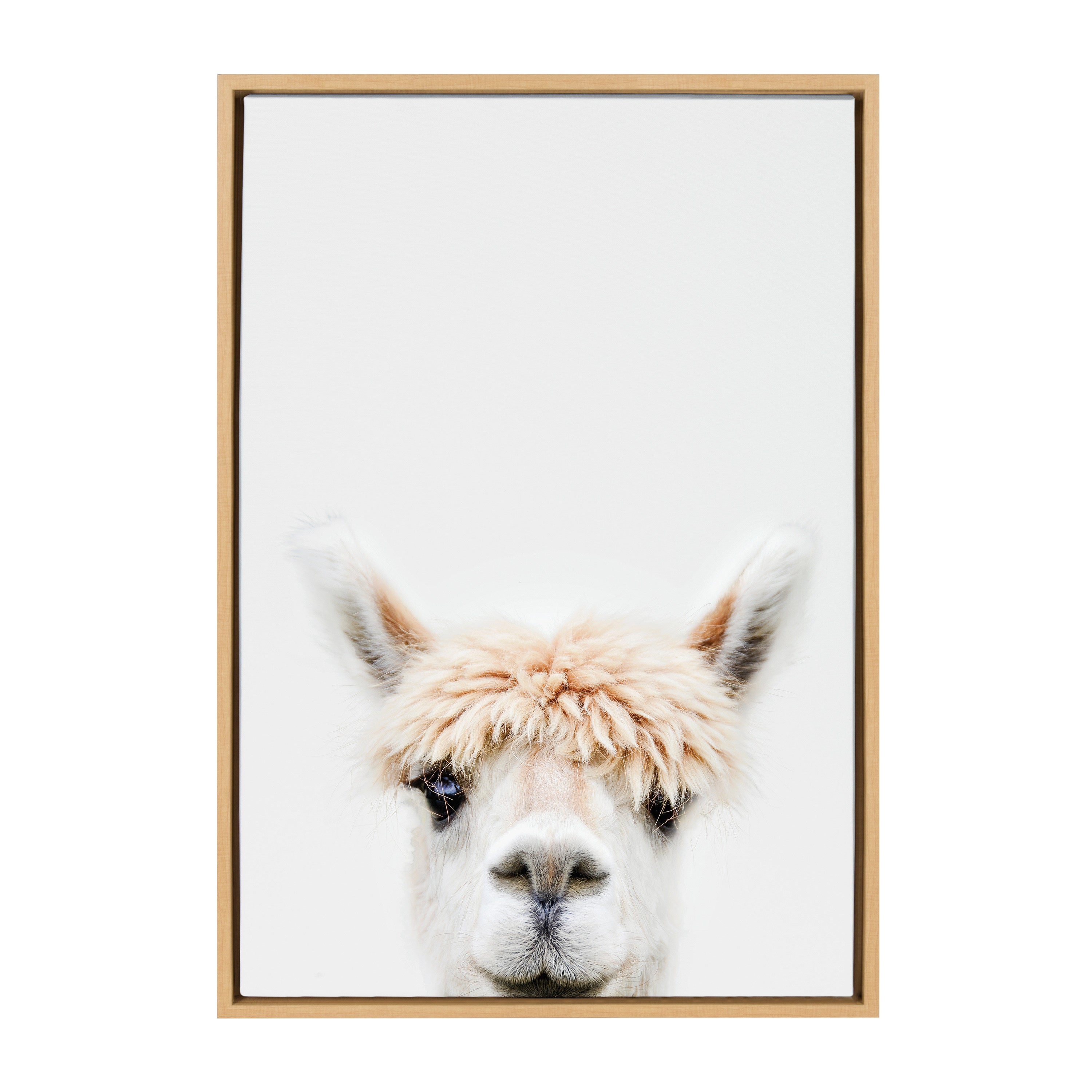 Sylvie Alpaca Bangs Framed Canvas by Amy Peterson Art Studio by kateandlaurel - product image 2 for Resin Society