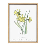 Sylvie Spring Daffodil Framed Canvas by kateandlaurel - product image 2 for Resin Society