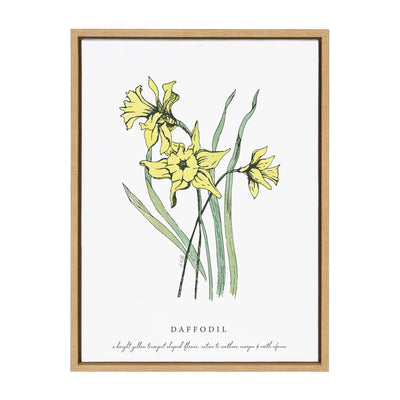 Sylvie Spring Daffodil Framed Canvas by kateandlaurel - product image 2 for Resin Society