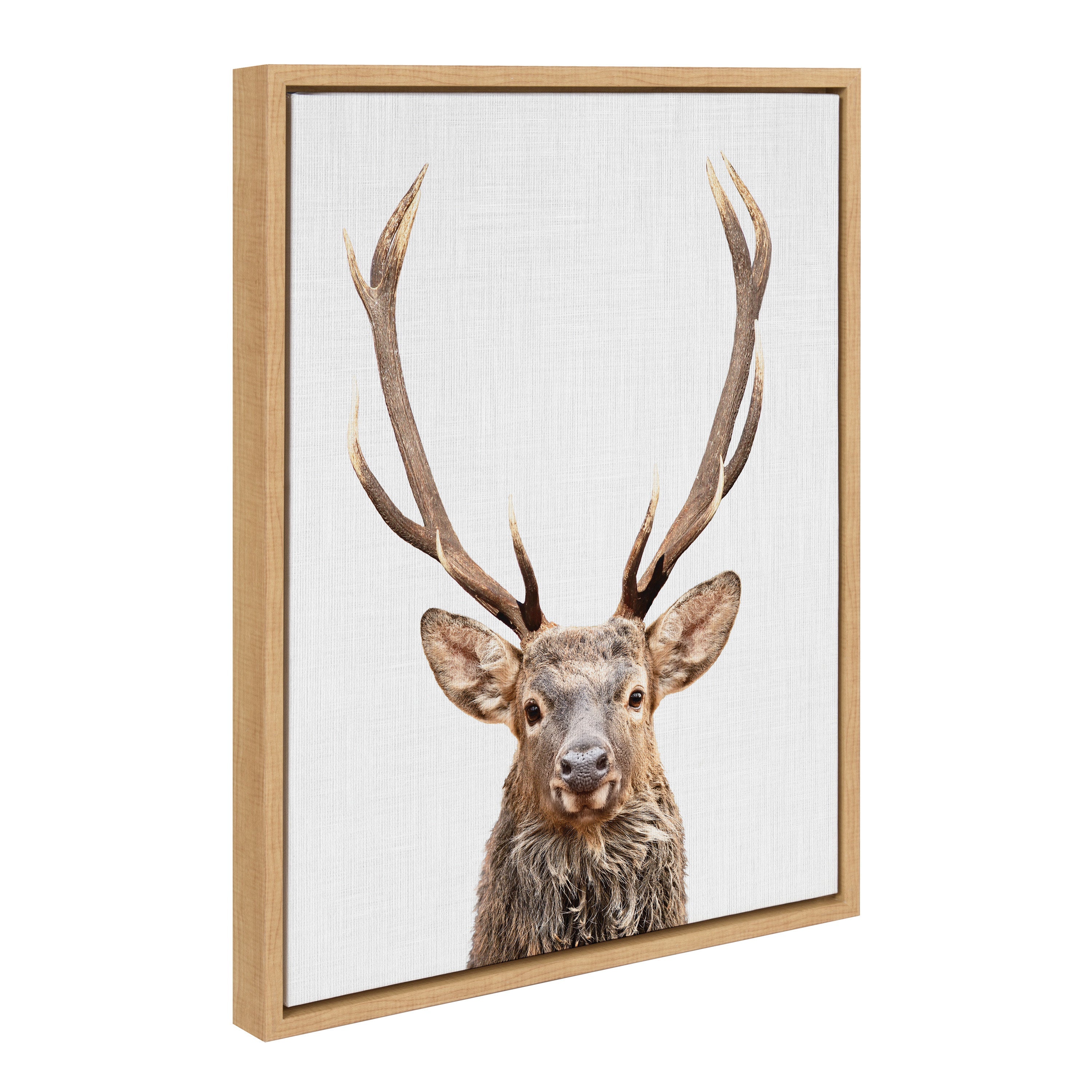 Sylvie The Red Deer Color Framed Canvas by Simon Te of Tai Prints by kateandlaurel - product image 12 for Resin Society