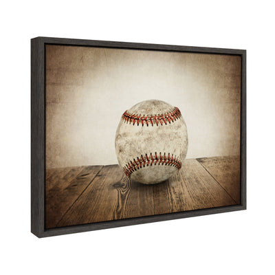 Sylvie Vintage Baseball Framed Canvas by kateandlaurel - product image 2 for Resin Society