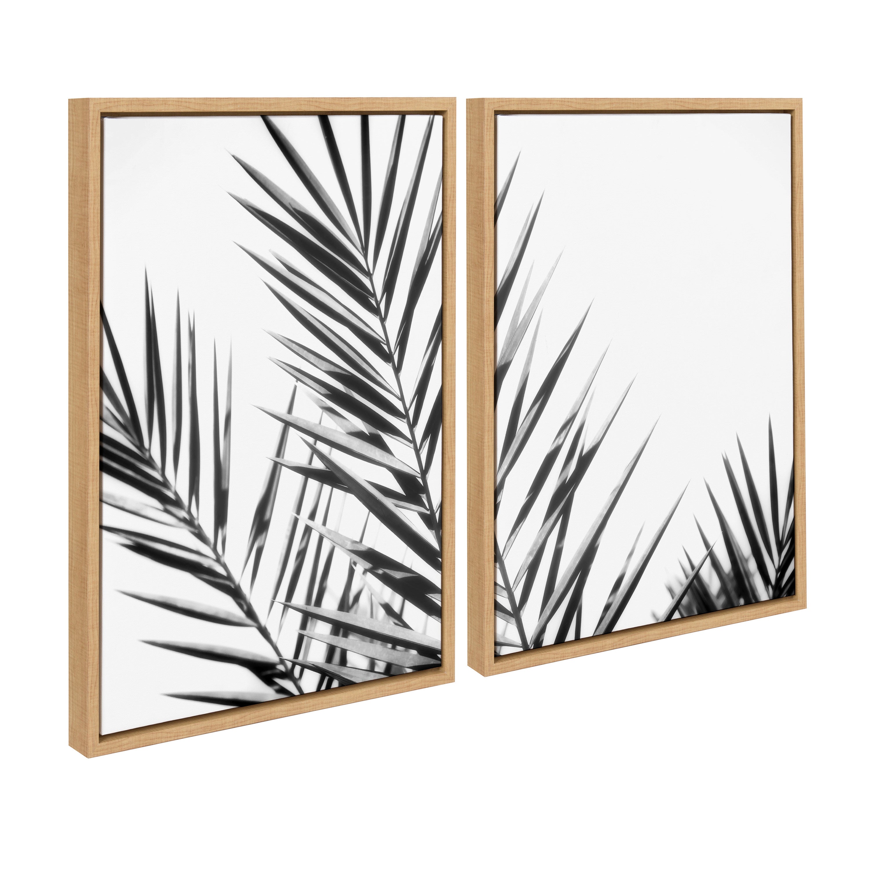 Sylvie Palm I and II BW Framed Canvas by kateandlaurel - product image 2 for Resin Society