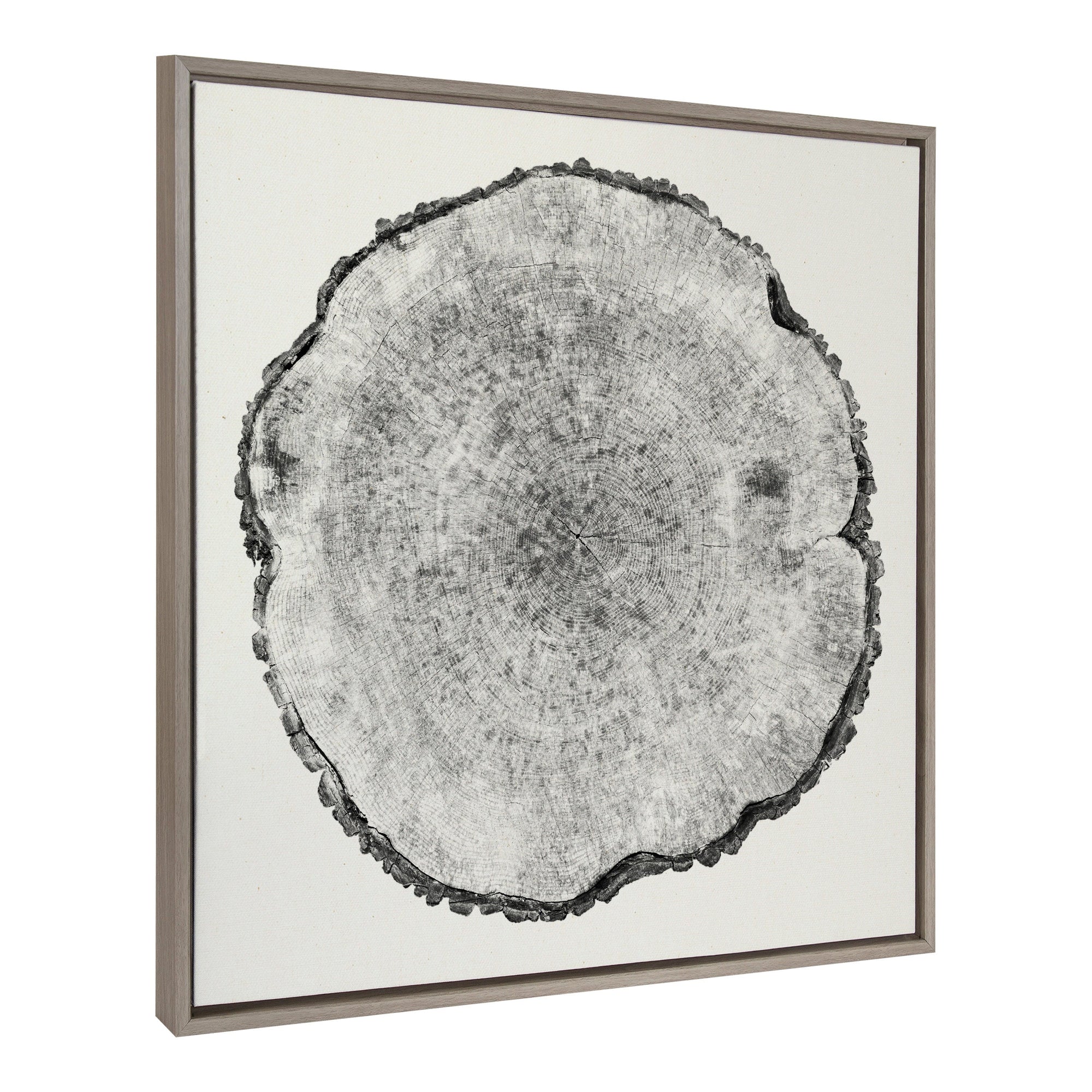 Sylvie Tree Rings Linen Framed Canvas by kateandlaurel - main product image for Resin Society