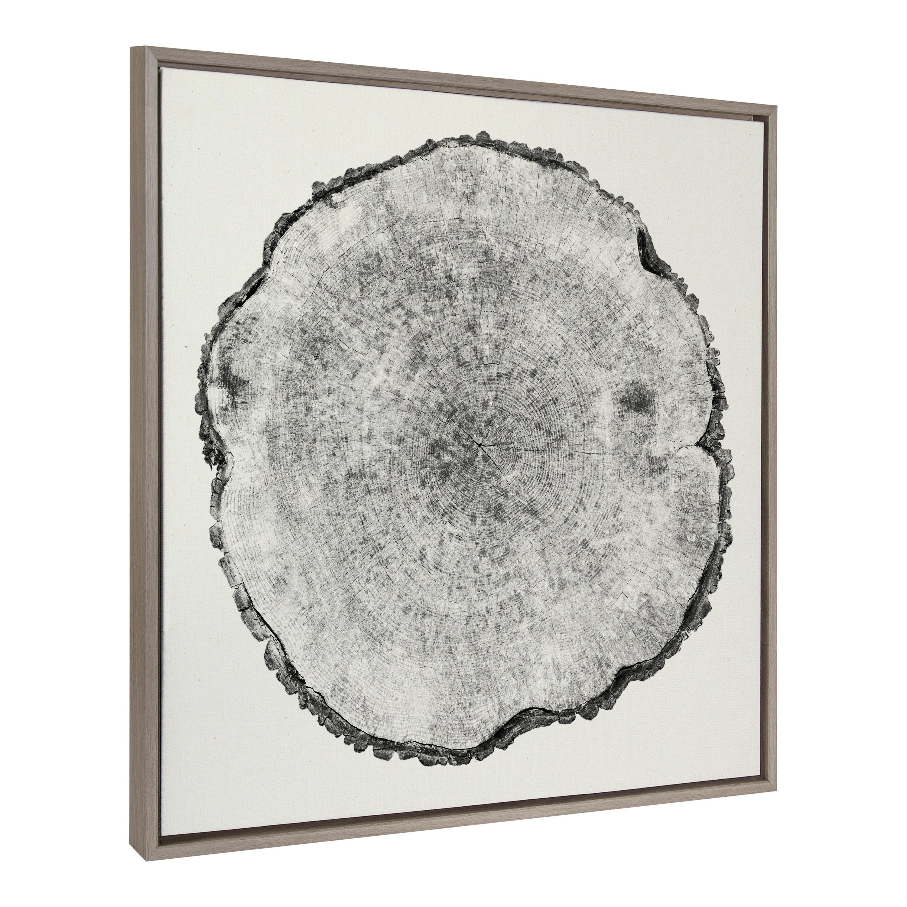 Sylvie Tree Rings Linen Framed Canvas by kateandlaurel - main product image for Resin Society