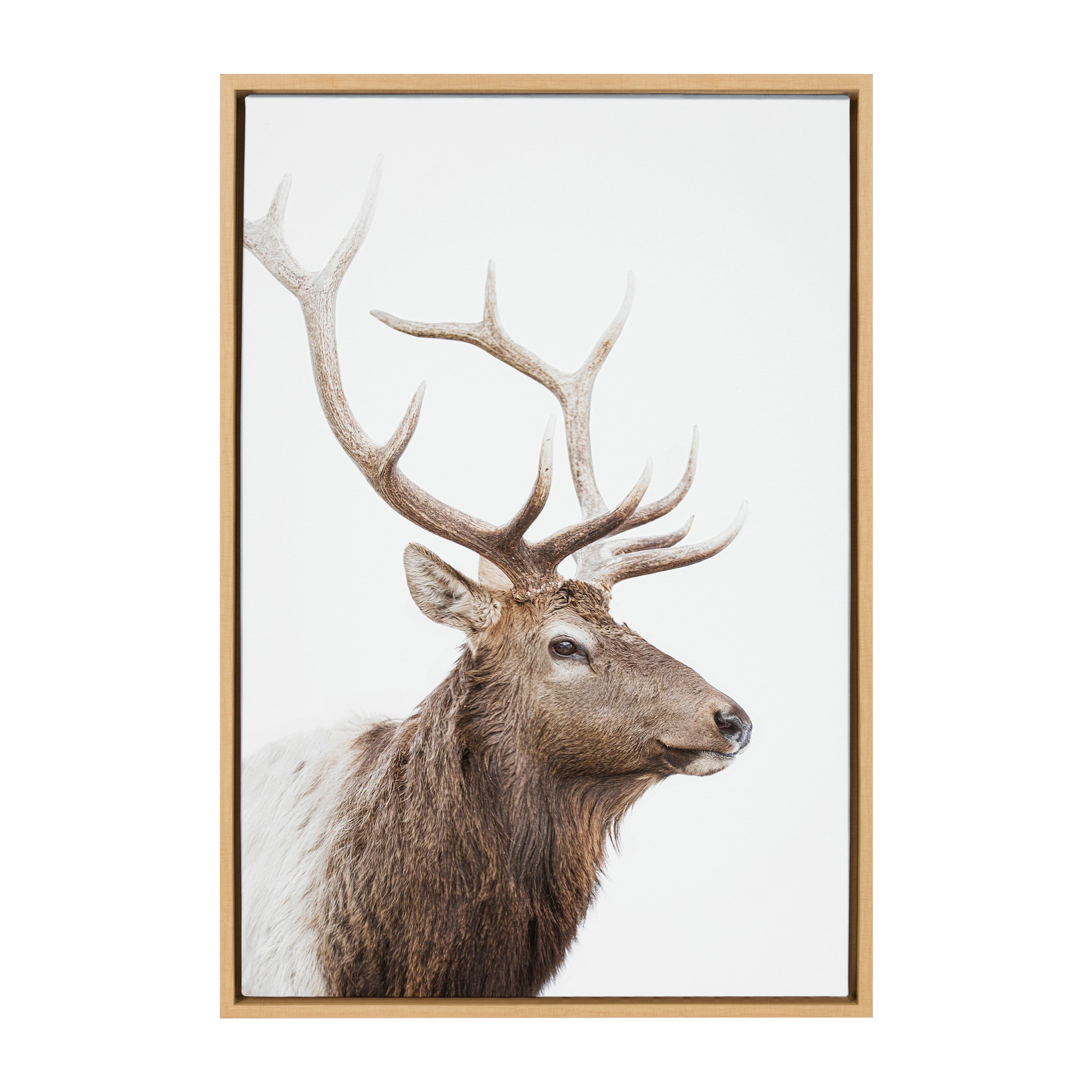 Sylvie Stag Profile Framed Canvas by Amy Peterson Art Studio