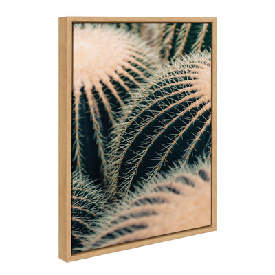 Framed canvas art depicting barrel cactus in natural color with polystyrene frame