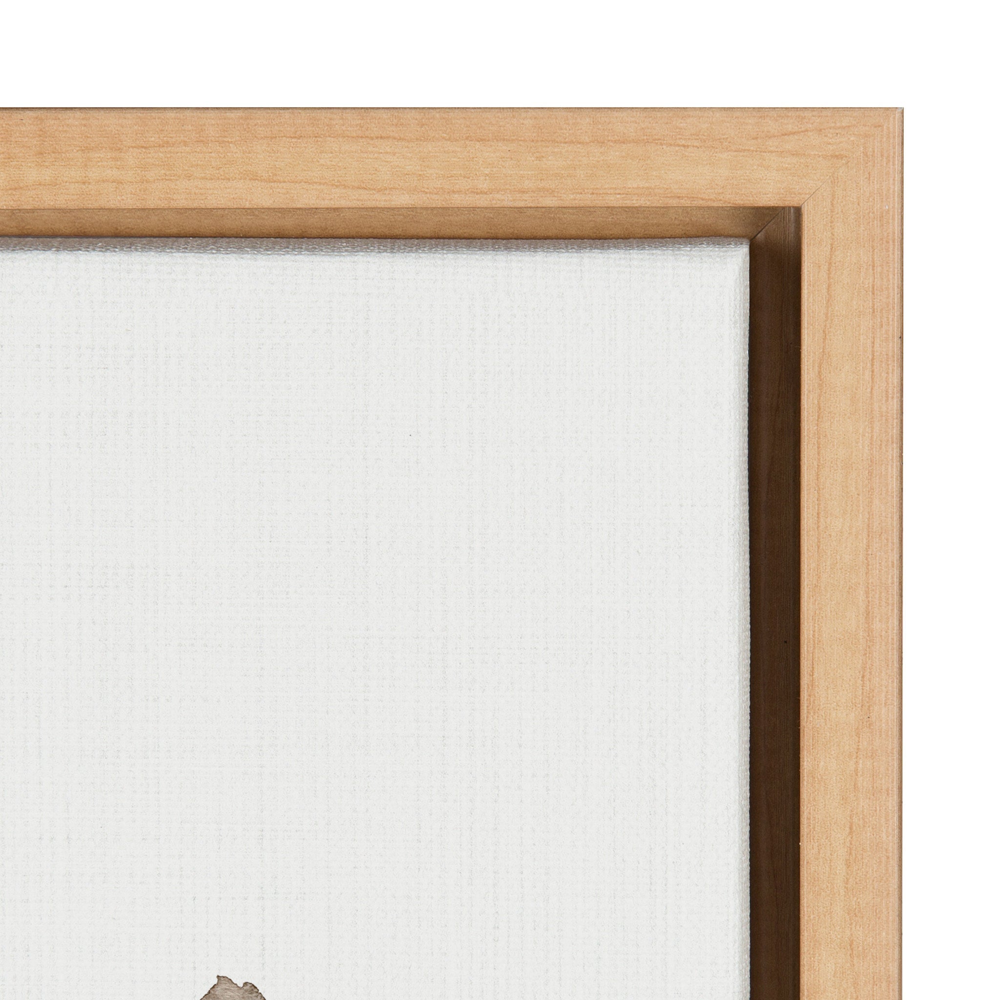 Sylvie Wild King Protea Framed Canvas by kateandlaurel - product image 3 for Resin Society