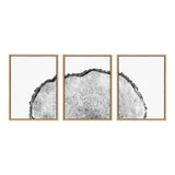 Sylvie Tree Rings Set Framed Canvas by kateandlaurel - product image 2 for Resin Society