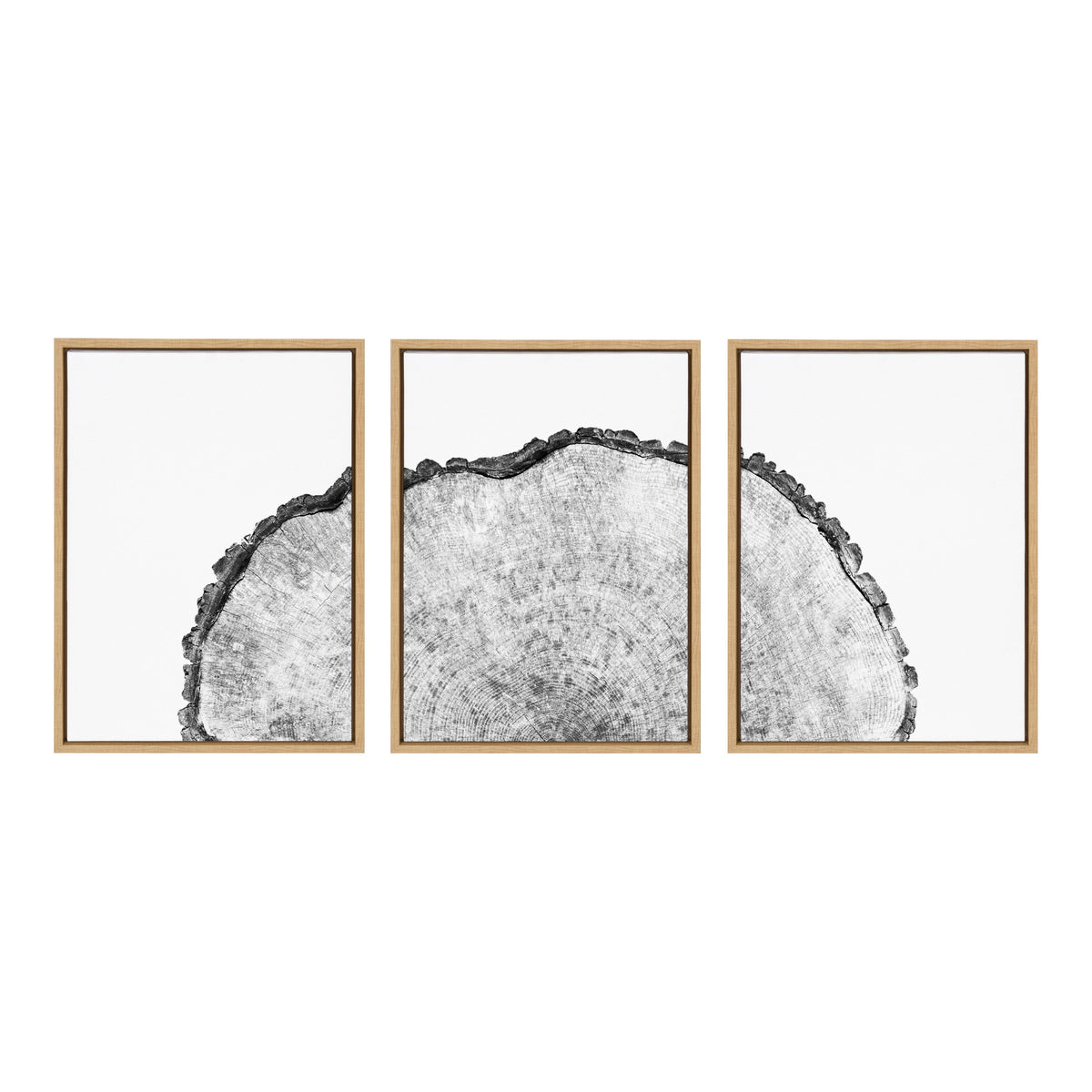 Sylvie Tree Rings Set Framed Canvas by kateandlaurel - product image 2 for Resin Society
