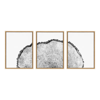 Sylvie Tree Rings Set Framed Canvas by kateandlaurel - product image 2 for Resin Society