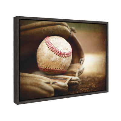 Sylvie Baseball Glove Framed Canvas by kateandlaurel - product image 2 for Resin Society