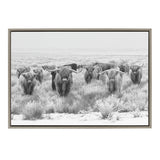 Sylvie Herd of Highland Cows Black and White Framed Canvas by The by kateandlaurel - product image 16 for Resin Society