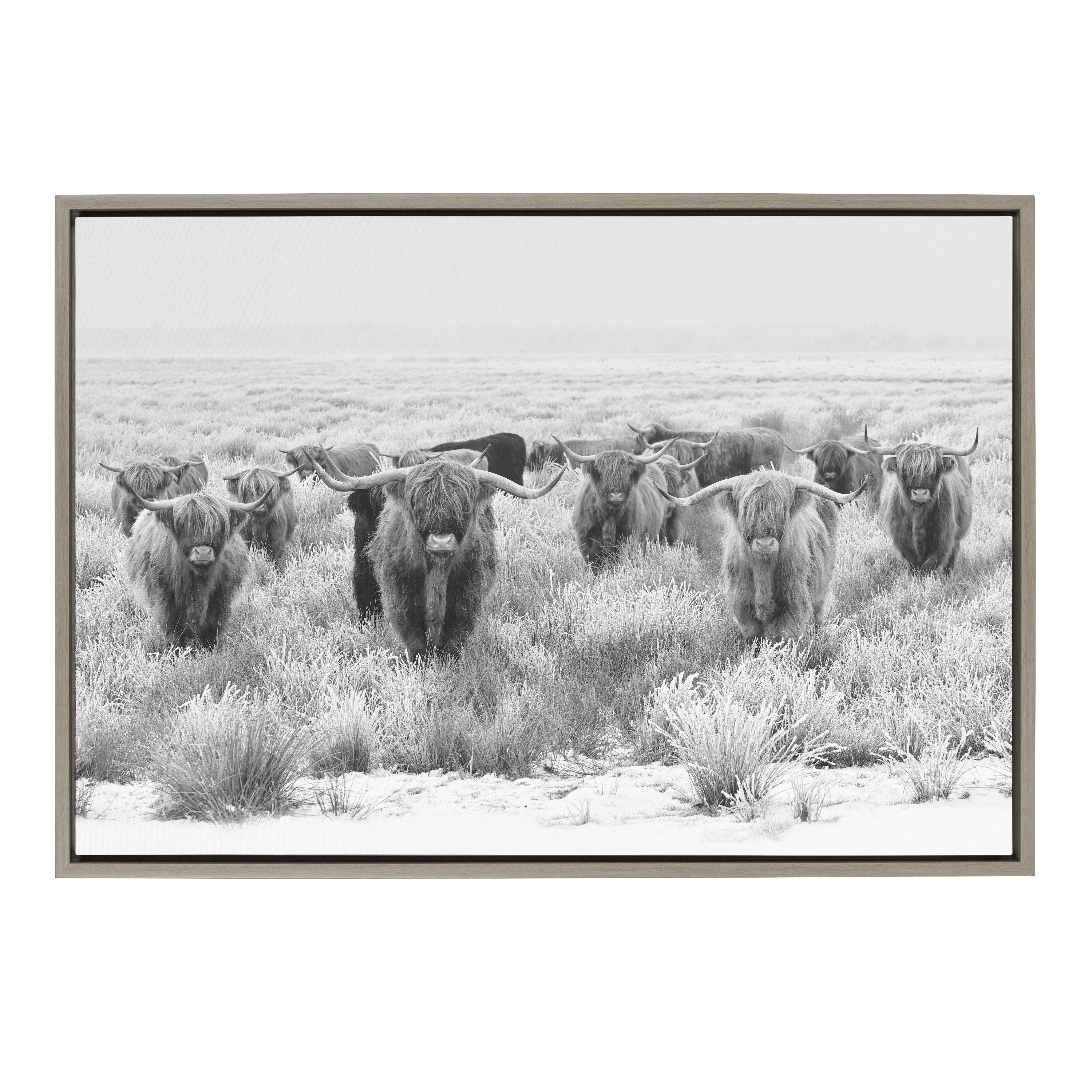 Sylvie Herd of Highland Cows Black and White Framed Canvas by The by kateandlaurel - product image 16 for Resin Society