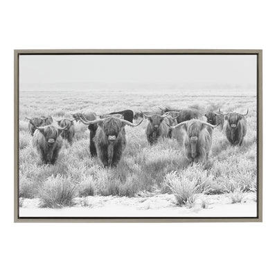 Sylvie Herd of Highland Cows Black and White Framed Canvas by The by kateandlaurel - product image 16 for Resin Society