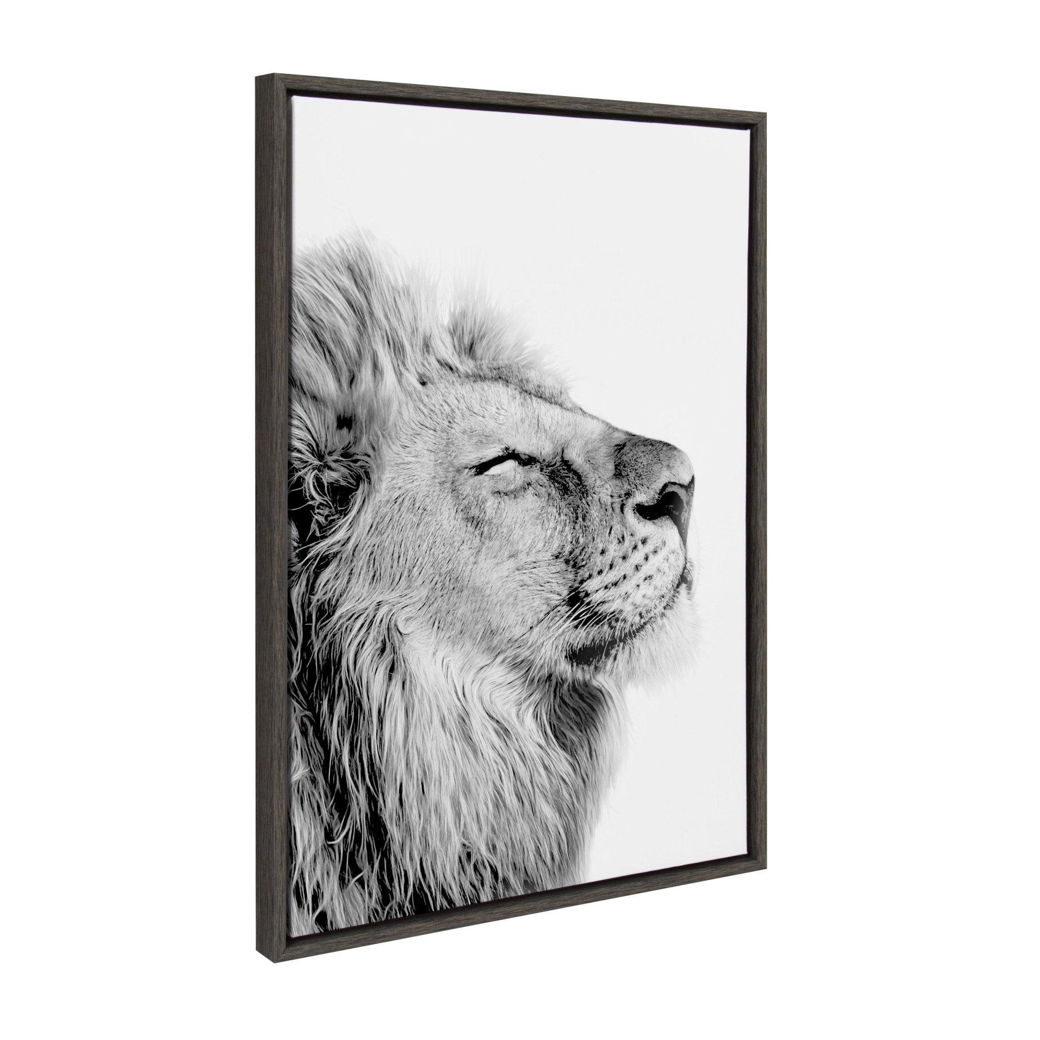 Sylvie Lion Self Actualizing Framed Canvas by kateandlaurel - product image 2 for Resin Society