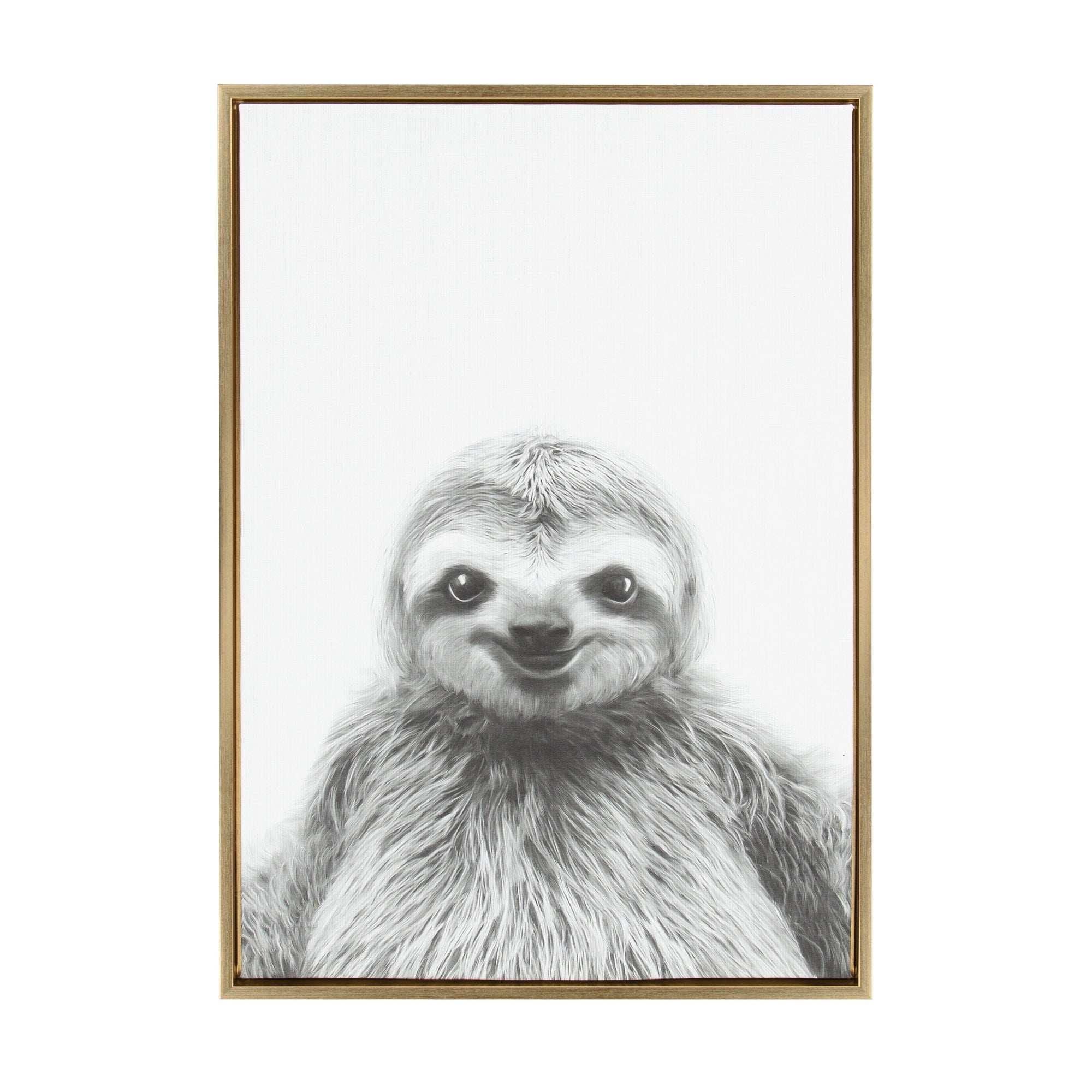 Sylvie Sloth Framed Canvas by Simon Te Tai by kateandlaurel - main product image for Resin Society