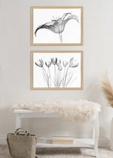 Two framed black and white floral X-ray style prints, one of a single large flower and one of multiple tulips, displayed above a white bench with a sheepskin throw and a bag below.