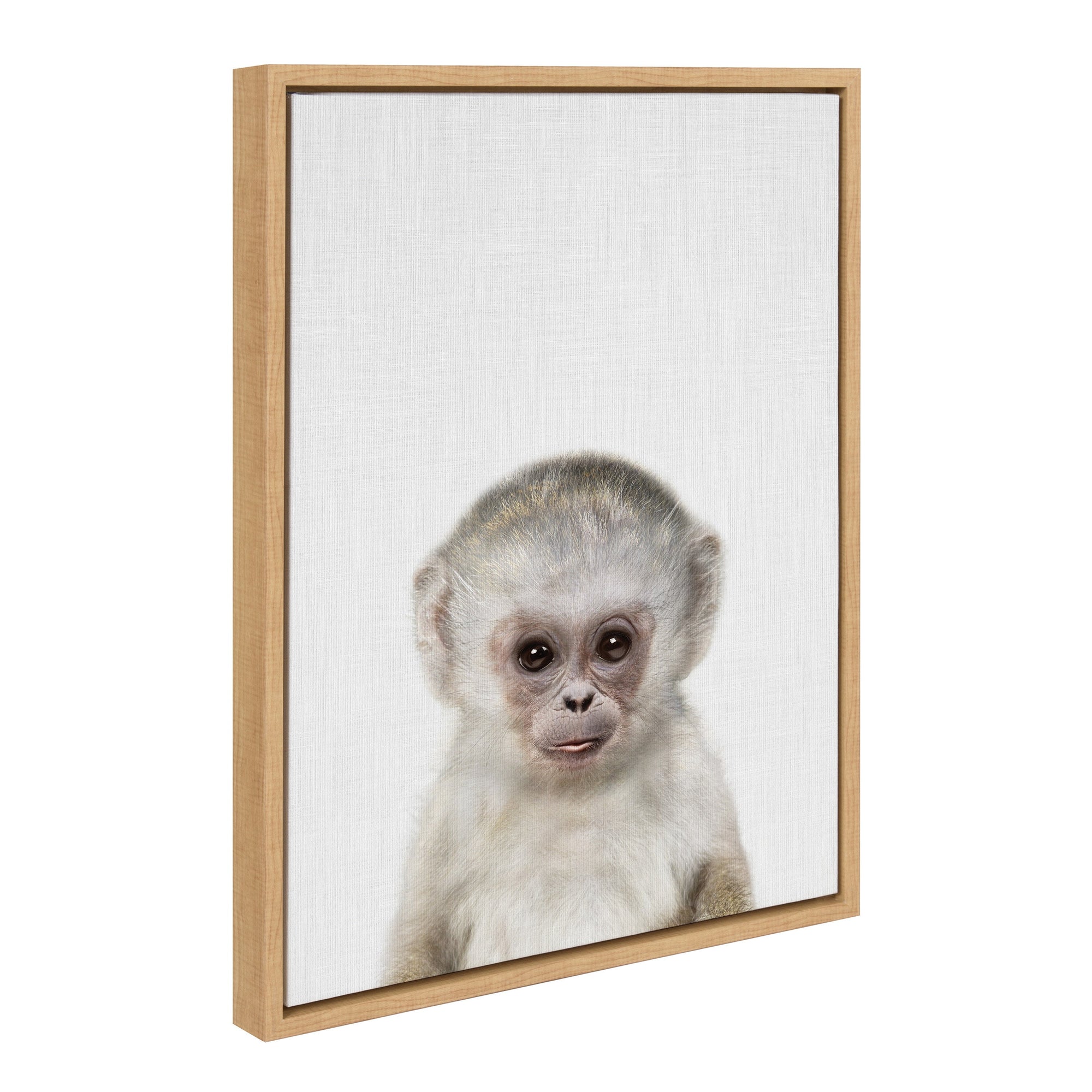Sylvie Monkey Color Framed Canvas by kateandlaurel - main product image for Resin Society
