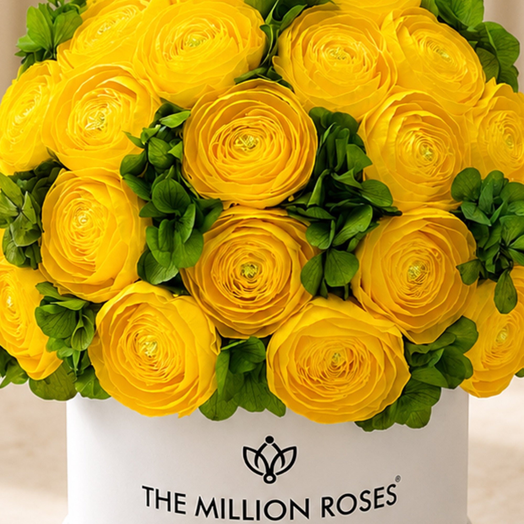 Classic White Box by The Million Roses - product image 3 for Resin Society