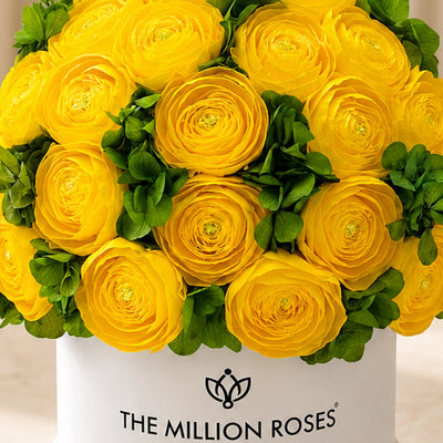 Classic White Box by The Million Roses - product image 3 for Resin Society