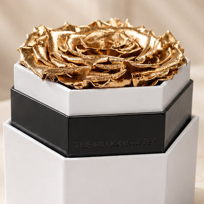 One in a Million™ White Hexagon Box | Gold Rose