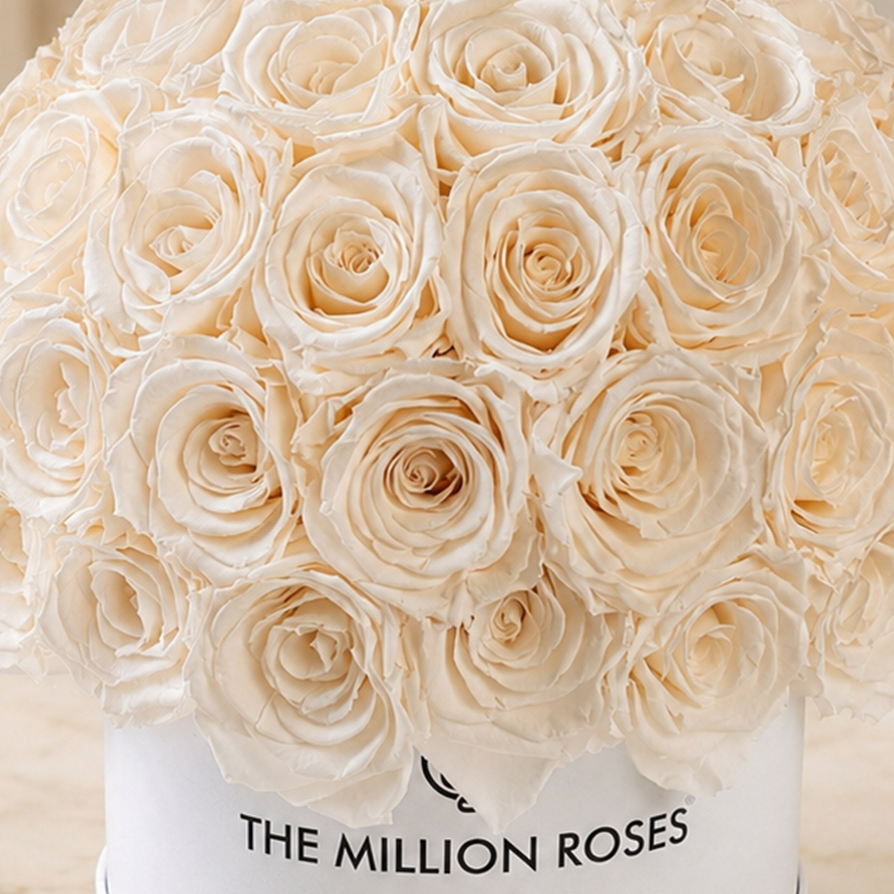 Classic White Superdome Box by The Million Roses - product image 3 for Resin Society