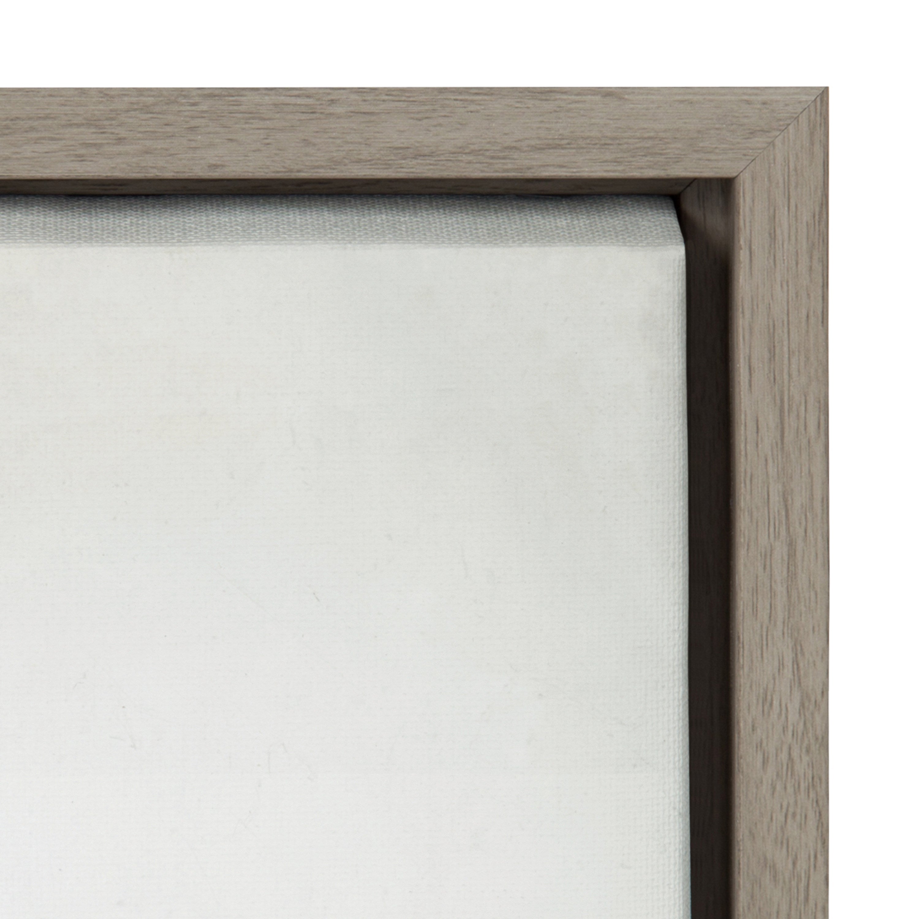 Sylvie Succulent 5 Framed Canvas by F2 Images by kateandlaurel - product image 20 for Resin Society