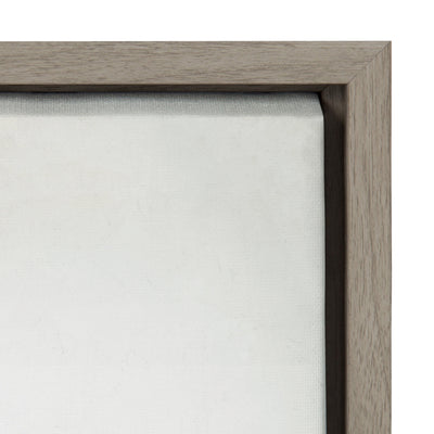 Sylvie Succulent 5 Framed Canvas by F2 Images by kateandlaurel - product image 20 for Resin Society