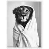 Black and white framed canvas print of a lion wrapped in a white towel resembling a robe, with a neutral blurred background.