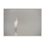 Sylvie Great White Egret Framed Canvas by kateandlaurel - product image 8 for Resin Society