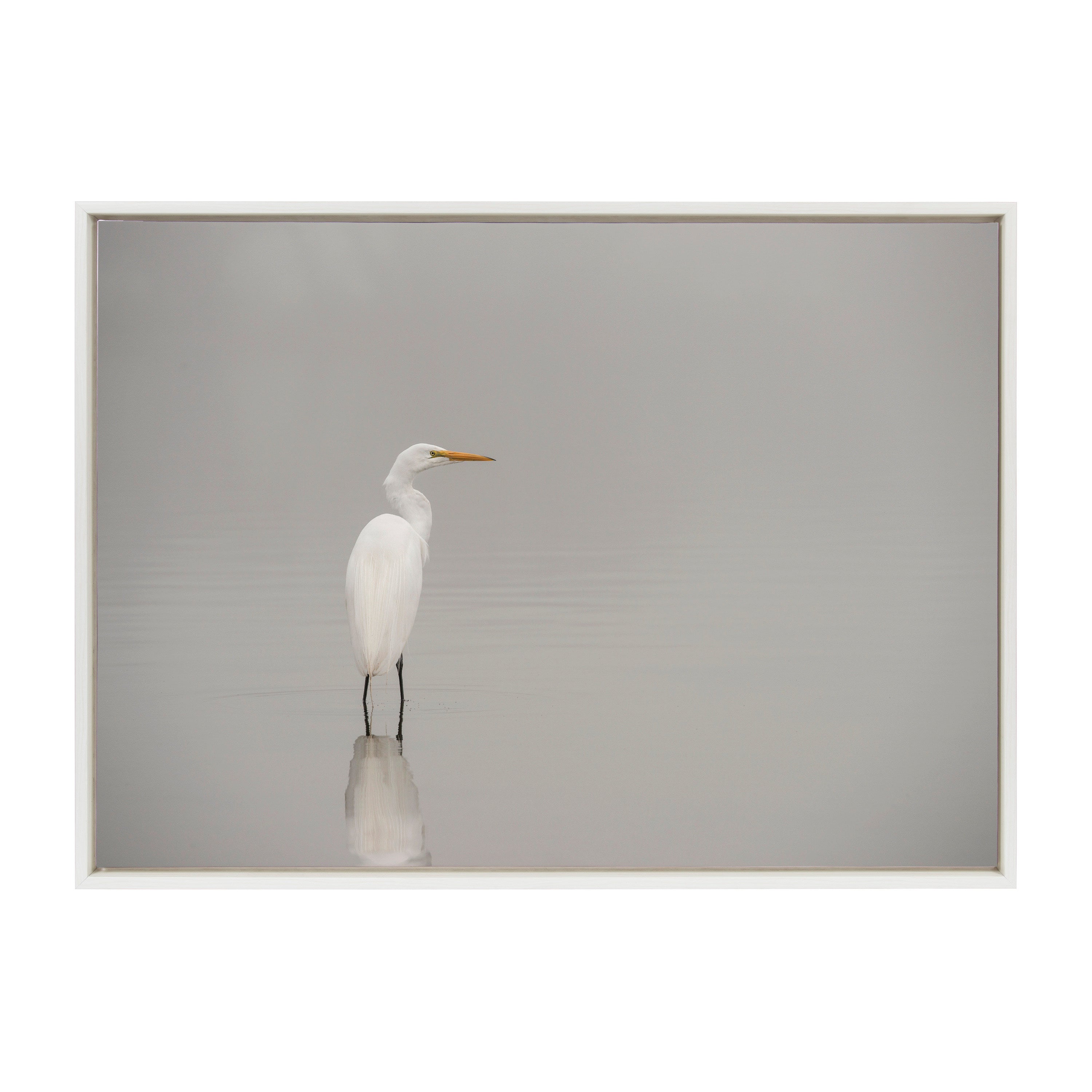 Sylvie Great White Egret Framed Canvas by kateandlaurel - product image 8 for Resin Society