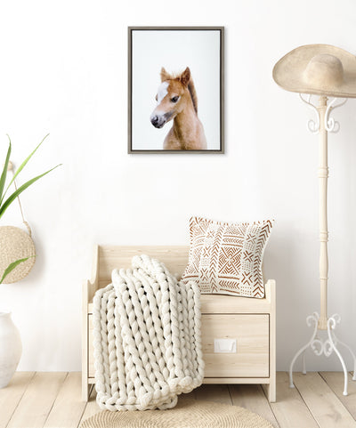 Sylvie Animal Studio Baby Horse Framed Canvas by Amy Peterson Art Studio