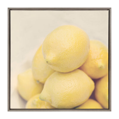 Sylvie Lemons Framed Canvas by kateandlaurel - main product image for Resin Society
