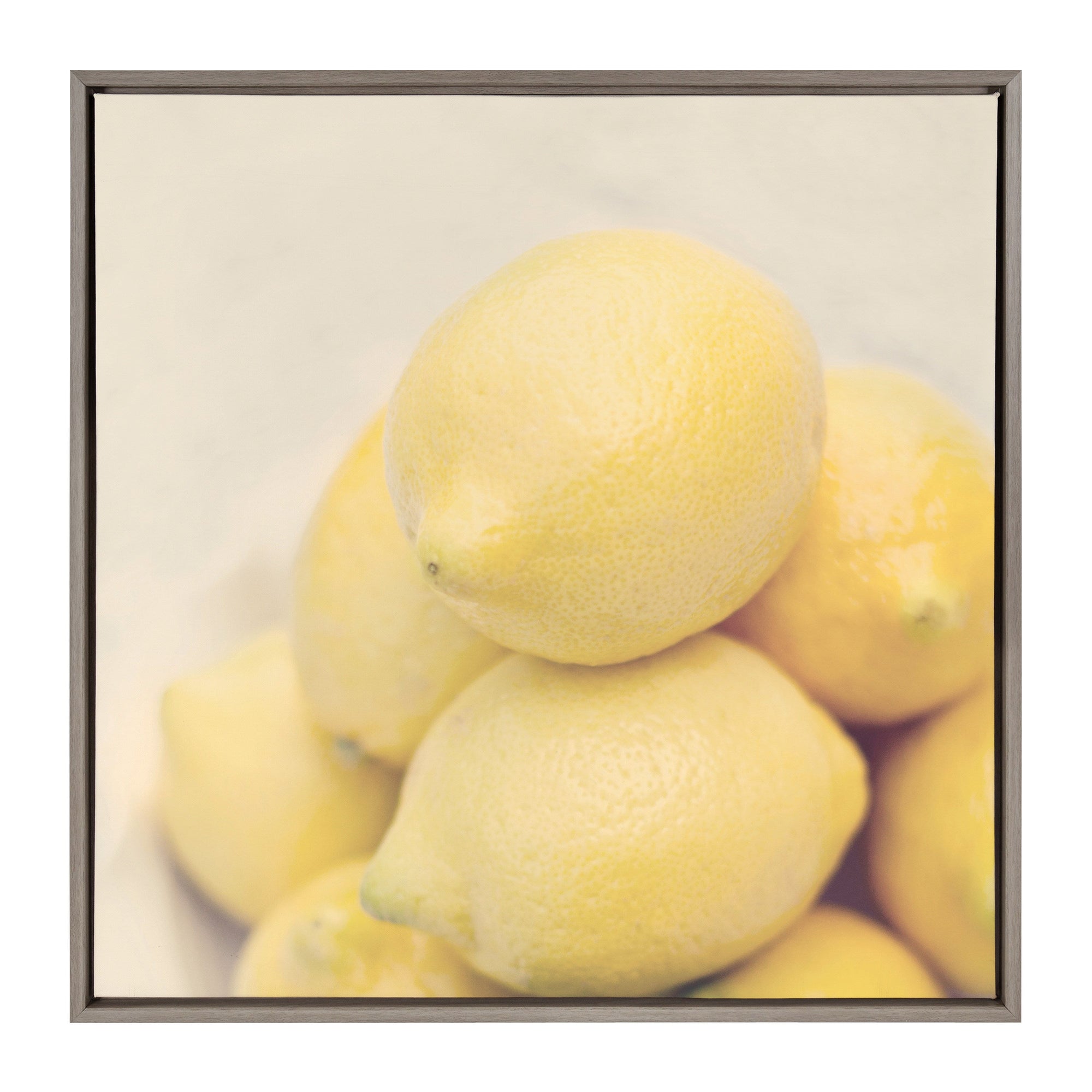 Sylvie Lemons Framed Canvas by kateandlaurel - product image 9 for Resin Society