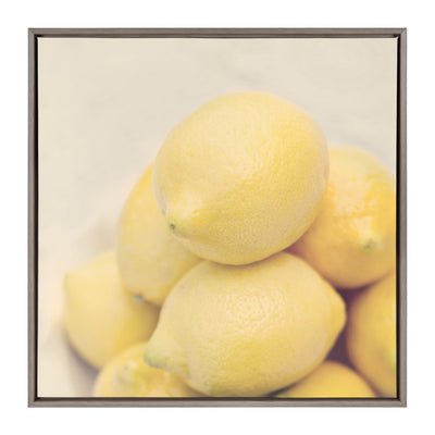 Sylvie Lemons Framed Canvas by kateandlaurel - product image 9 for Resin Society