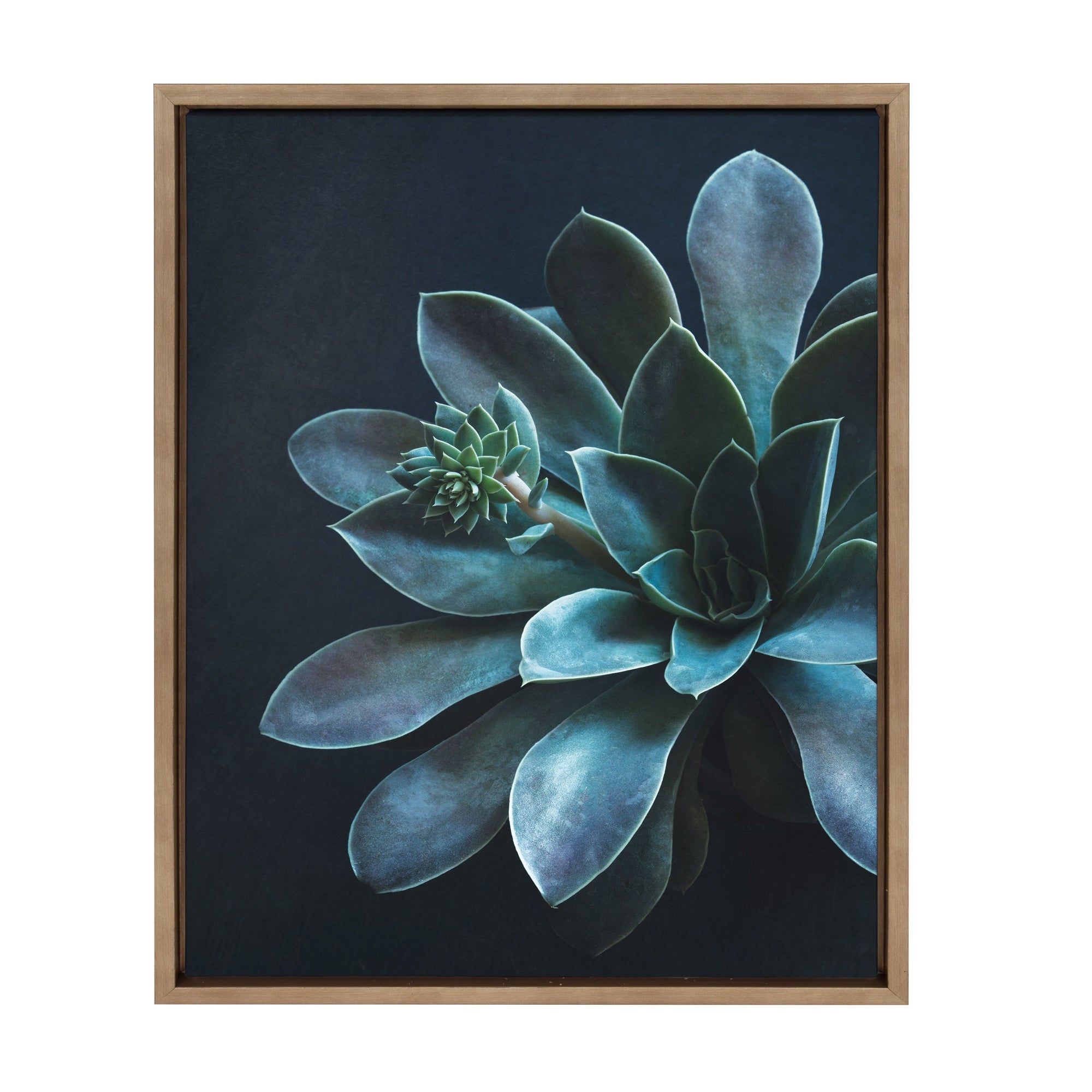 Sylvie Little One Framed Canvas by kateandlaurel - product image 8 for Resin Society