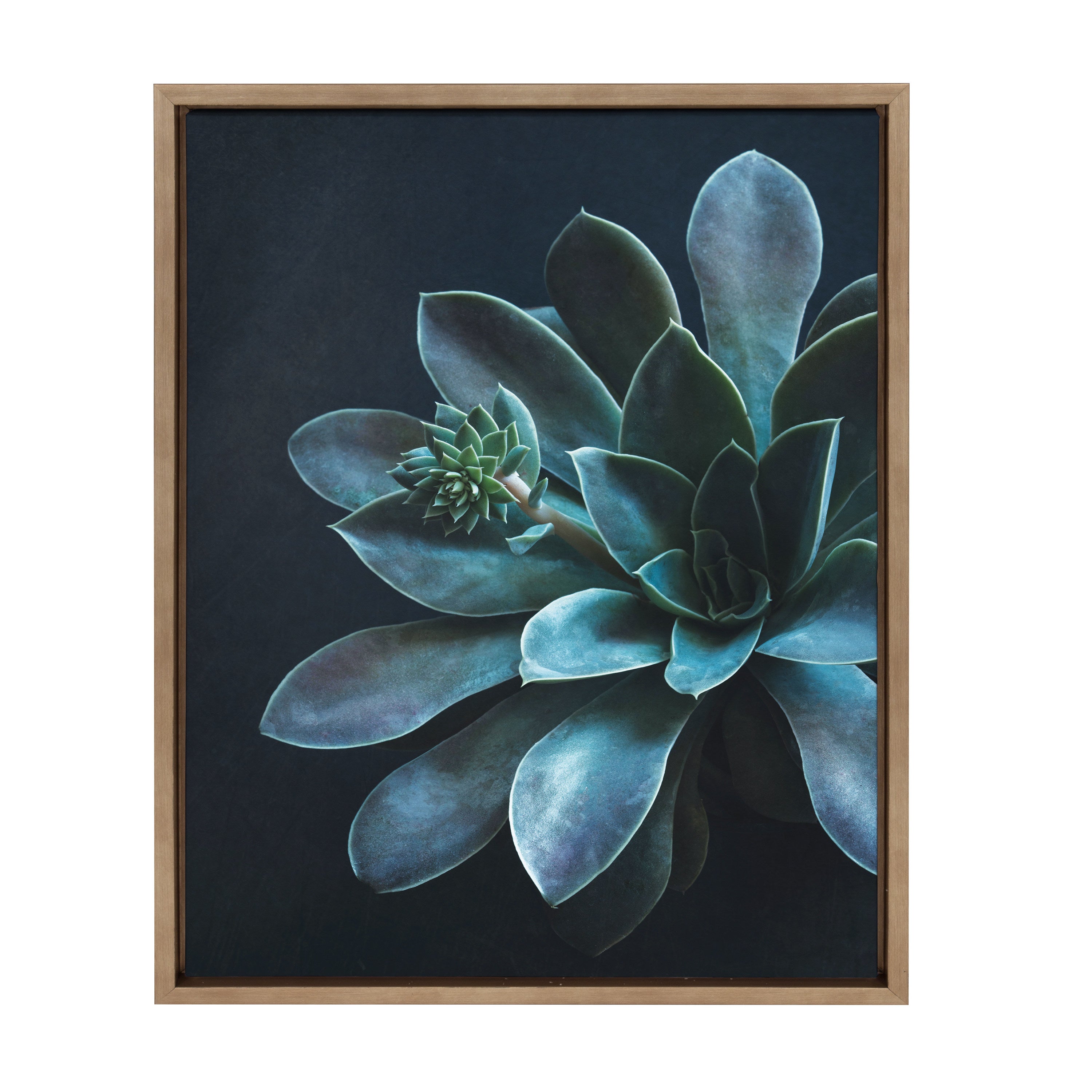 Sylvie Little One Framed Canvas by kateandlaurel - product image 8 for Resin Society