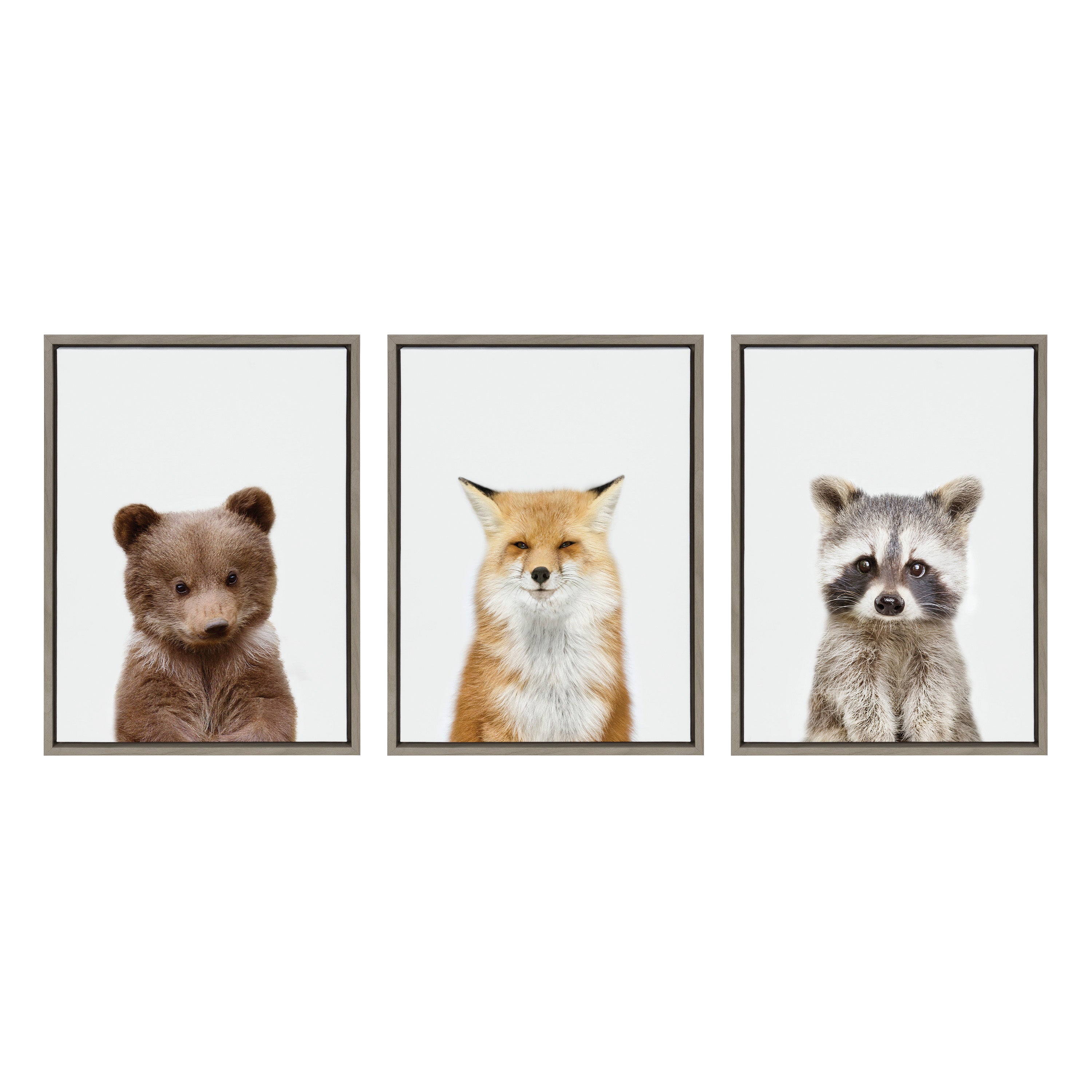 Sylvie Studio Bear, Studio Fox and Studio Raccoon Framed Canvas by kateandlaurel - product image 8 for Resin Society