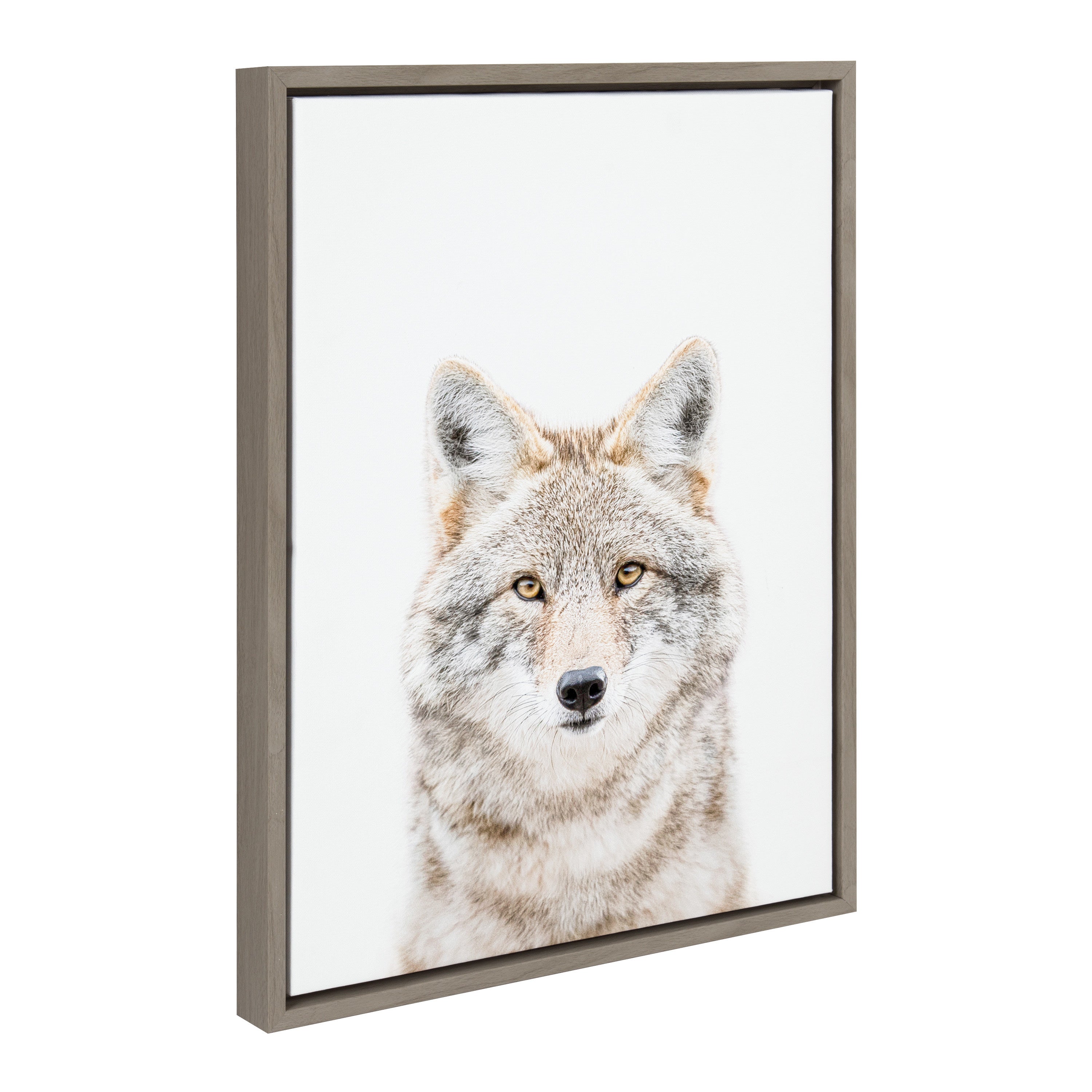 Sylvie Wolf Portrait framed canvas art showing wolf head detail