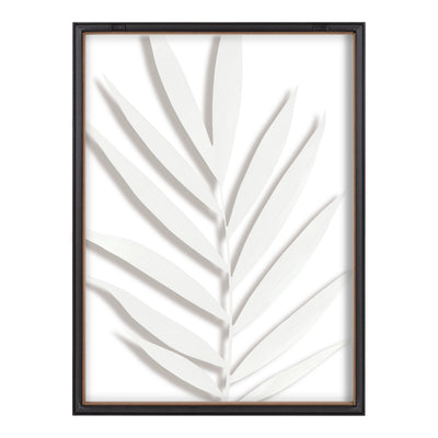 Blake Botanical 5F Framed Printed Glass by Amy Peterson