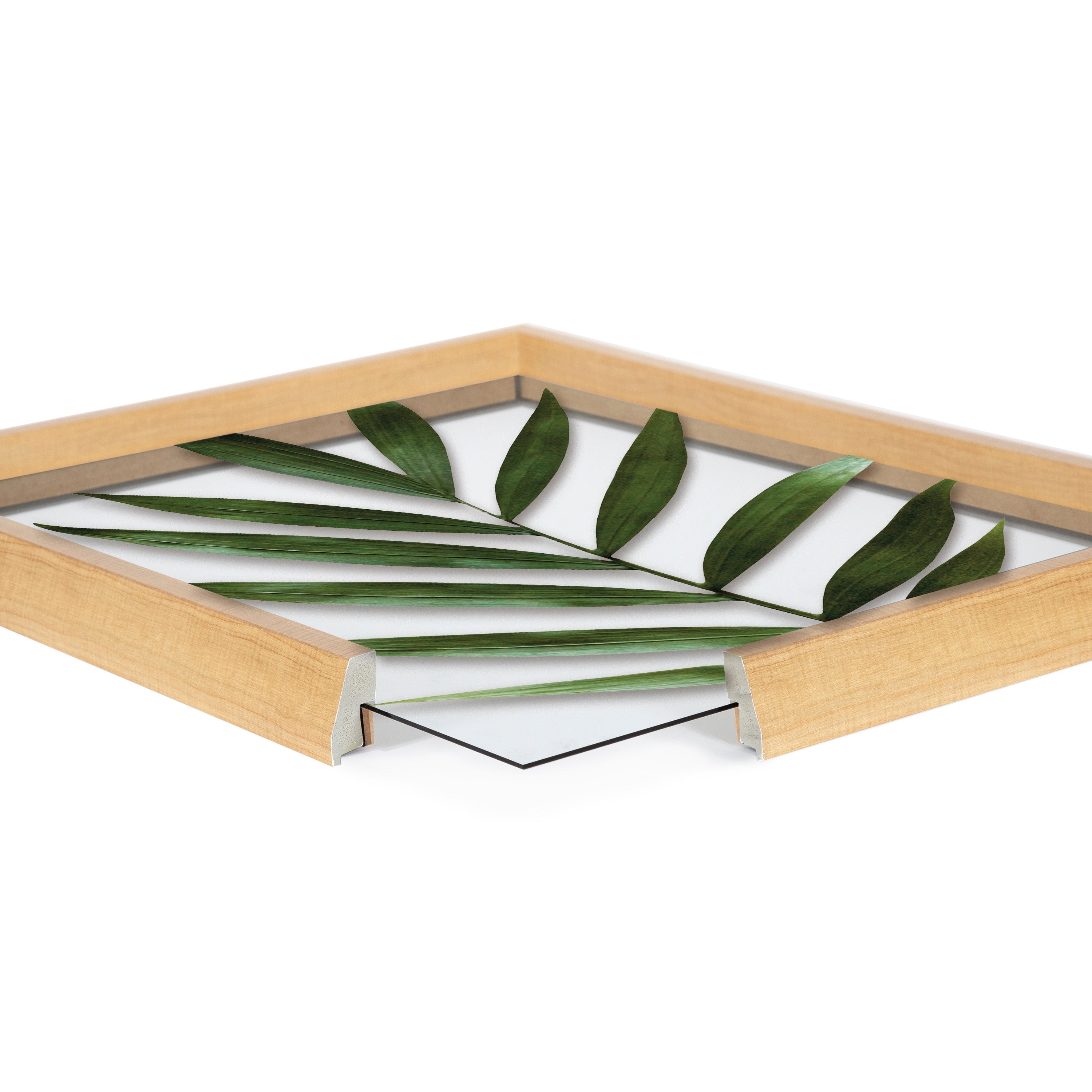 Blake Botanical 5F Framed Printed Glass by Amy Peterson by kateandlaurel - product image 15 for Resin Society