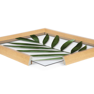 Blake Botanical 5F Framed Printed Glass by Amy Peterson by kateandlaurel - product image 15 for Resin Society