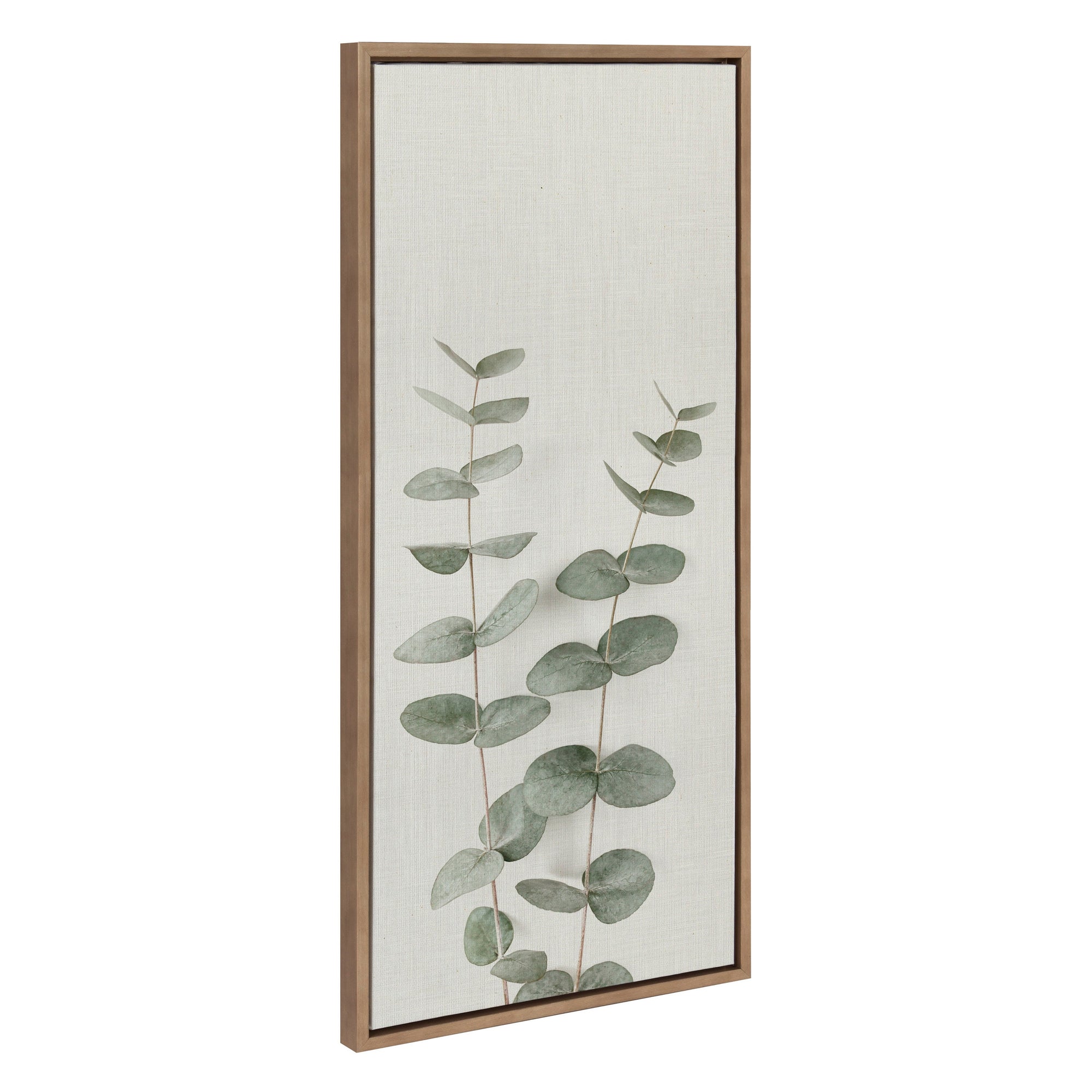 Sylvie Eucalyptus Botanical II Framed Canvas by The Creative Bunch by kateandlaurel - main product image for Resin Society